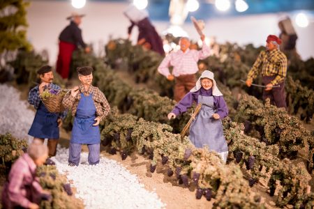 Visite du vignoble en miniature