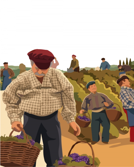 Visite du vignoble en miniature